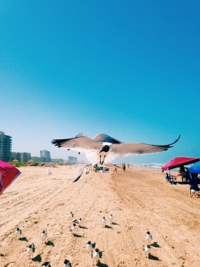 Processed with VSCOcam with c1 preset