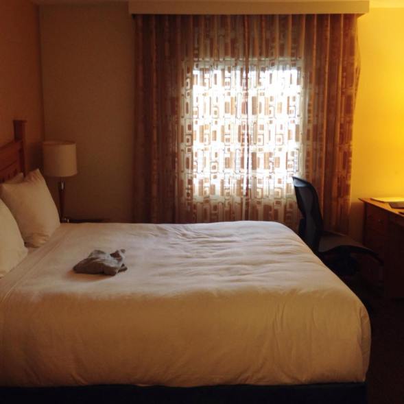 11257612_10203870267468183_1851874703_n