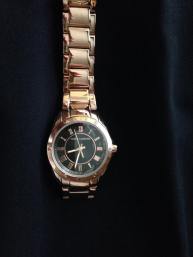 11650706_10204033787236075_768701698_n