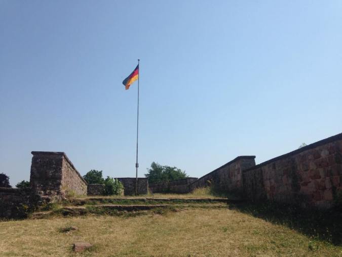 11714428_10204097400626370_1252872567_n