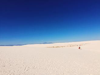 12179318_10204634322409079_1082540842_n