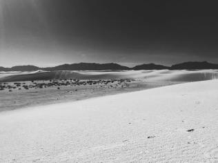 12179977_10204634321729062_1782702366_n