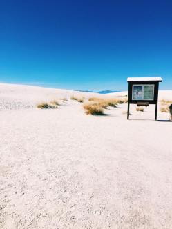 12180046_10204634319809014_1509207567_n