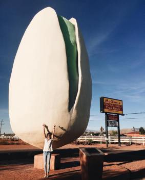 12188710_10204634321649060_1959088739_n