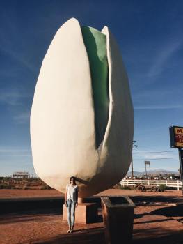 12200790_10204634321849065_1875529634_n