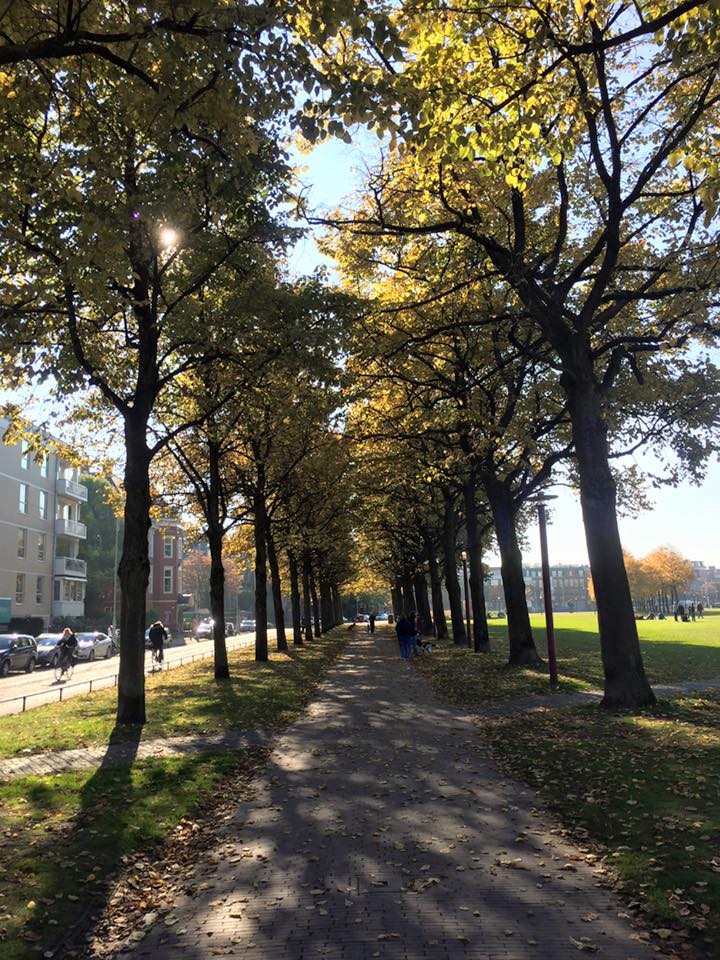 14523013_10206910011659888_4250298293474688683_n