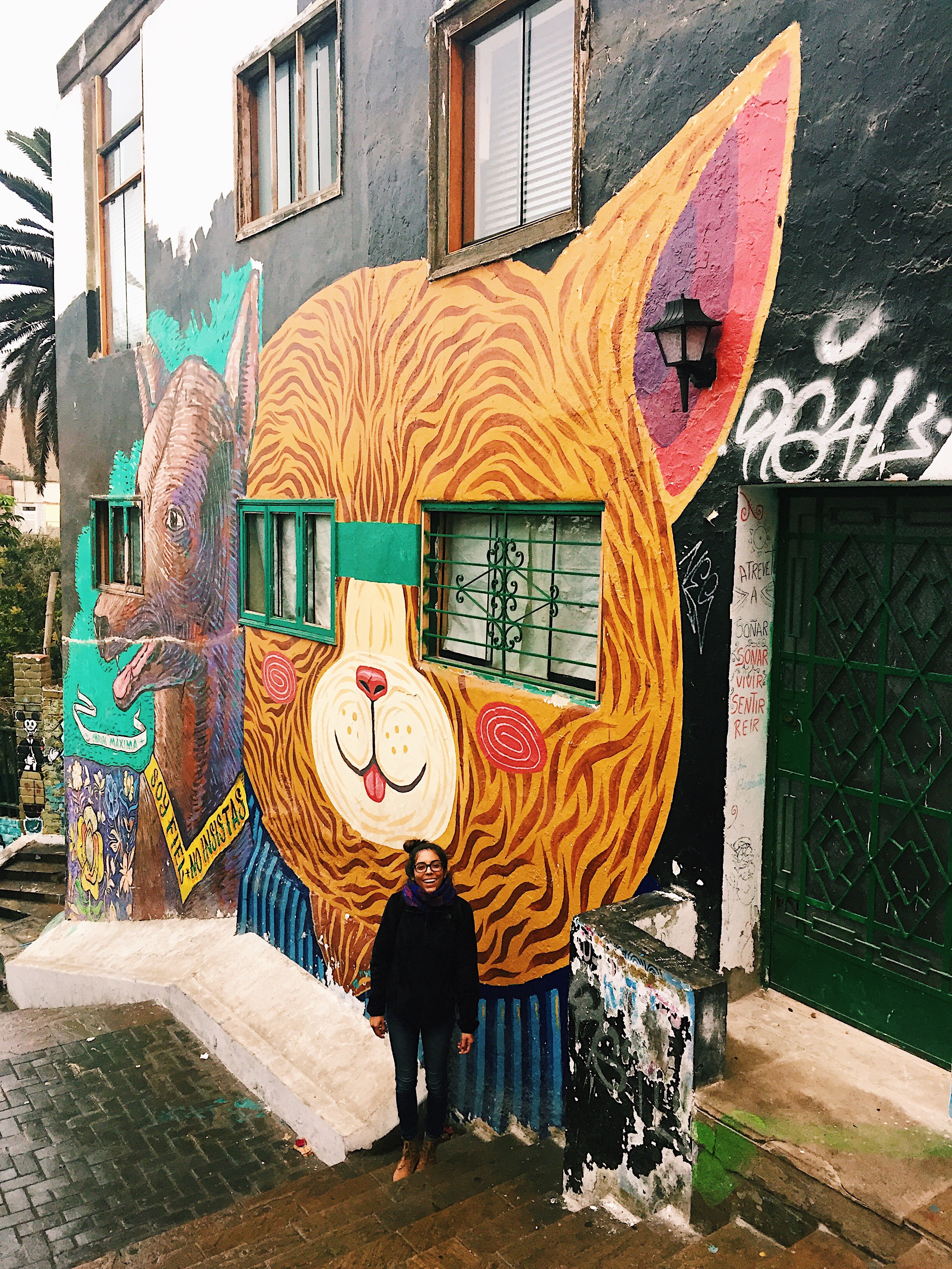 Processed with VSCO with c1 preset